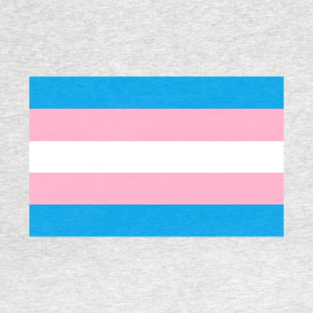 Transgender Flag by philliopublius